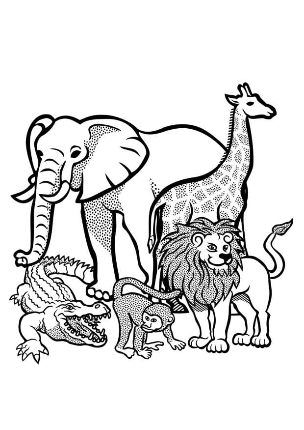Coloriage animaux A  lA©tat sauvage
